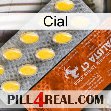 Cial 42